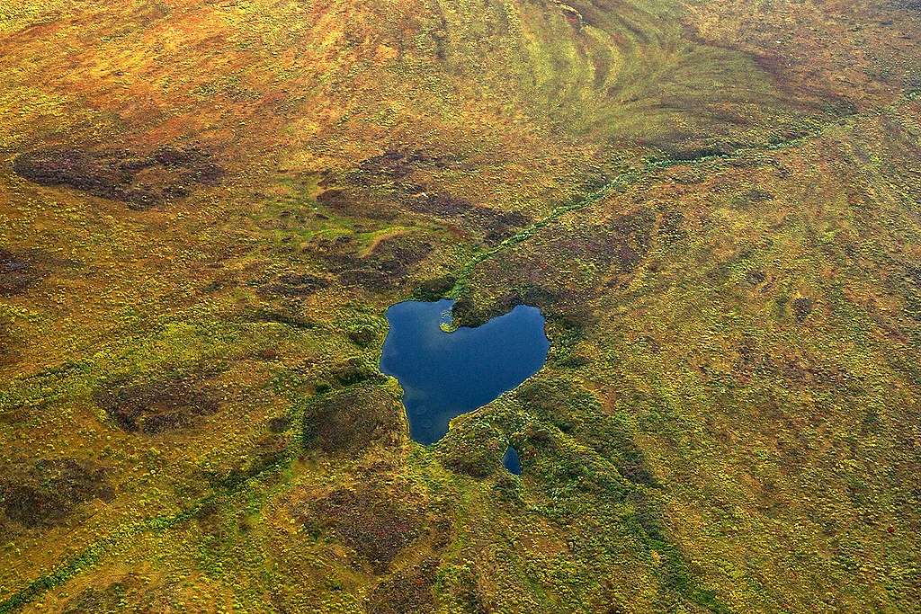 Tundra in Alaska. © Markus Mauthe / Greenpeace