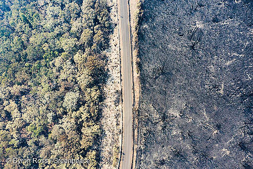 Votum Klima Rappelle Que La Crise Actuelle Ne Doit Pas Cacher Les Autres Greenpeace Luxembourg
