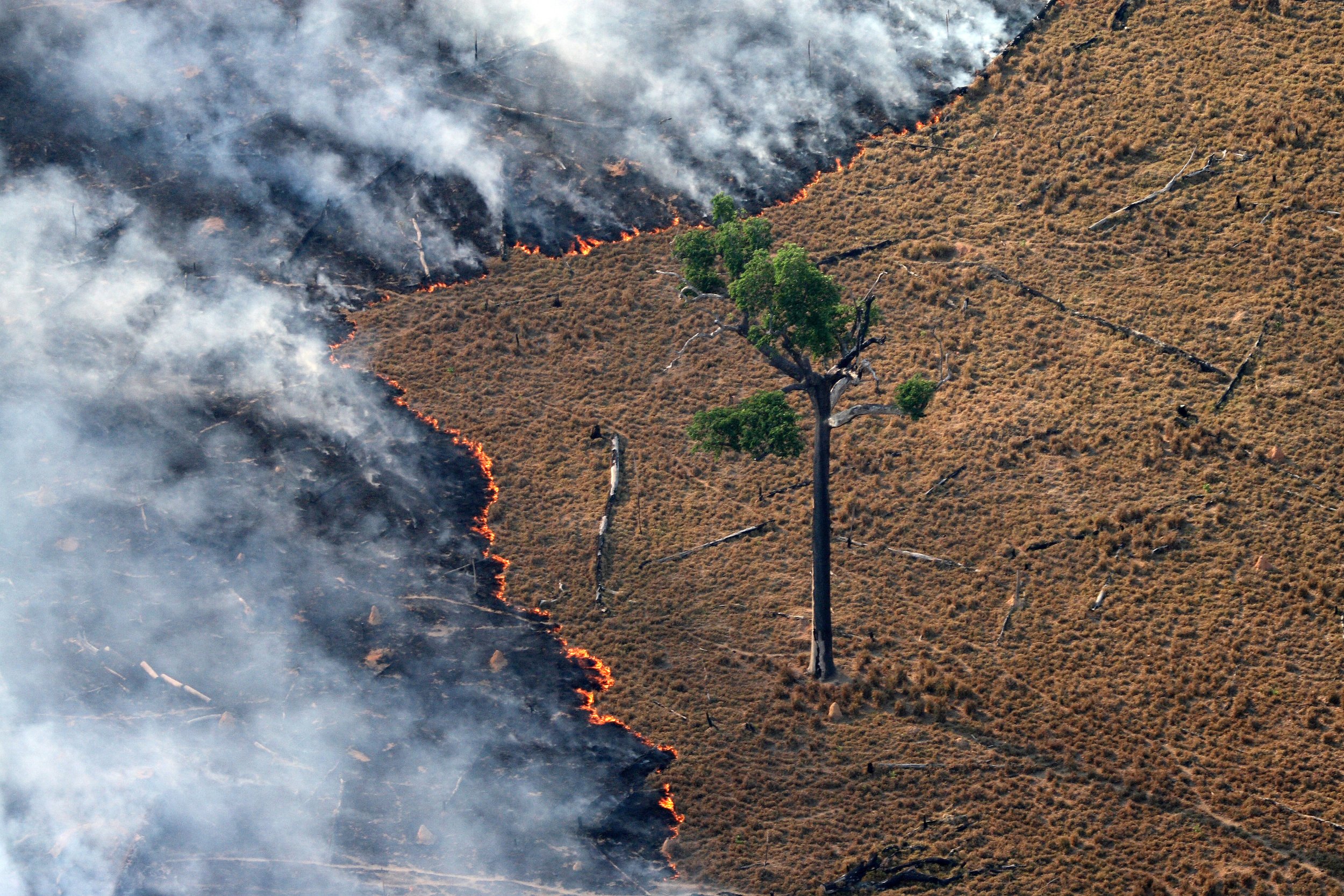 Burning Pasture in Amazon
