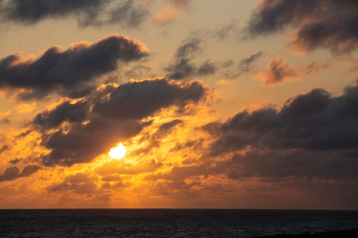 Holme Dunes Reserve in Norfolk, UK. © Steve Morgan / Greenpeace