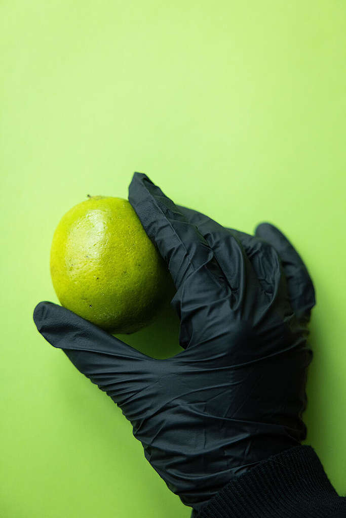 Brazilian Limes for Pesticide Testing. © Daniel Müller / Greenpeace Brazilian Limes for Pesticide Testing. © Daniel Müller / Greenpeace