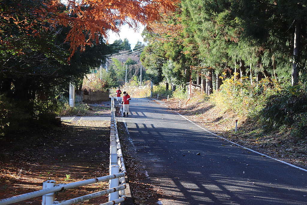 Radiation Survey in Fukushima. © Greenpeace Radiation Survey in Fukushima. © Greenpeace