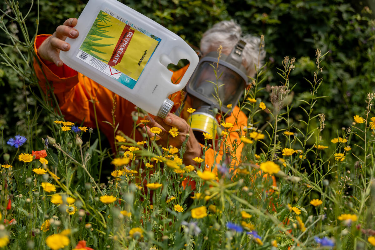 Stop Glyphosate Event at the "Fête de la Nature" in Luxembourg. © Aleksander Cano / Greenpeace
