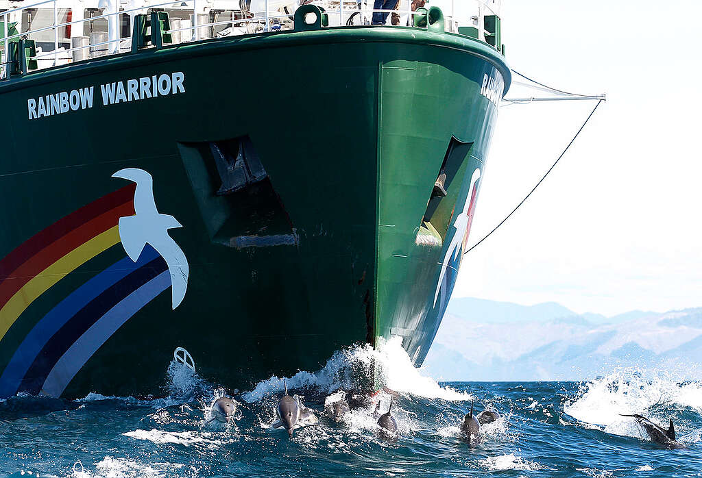 Rainbow Warrior in New Zealand. © Nigel Marple / Greenpeace