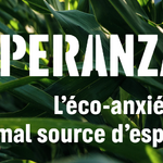 Esperanza #3