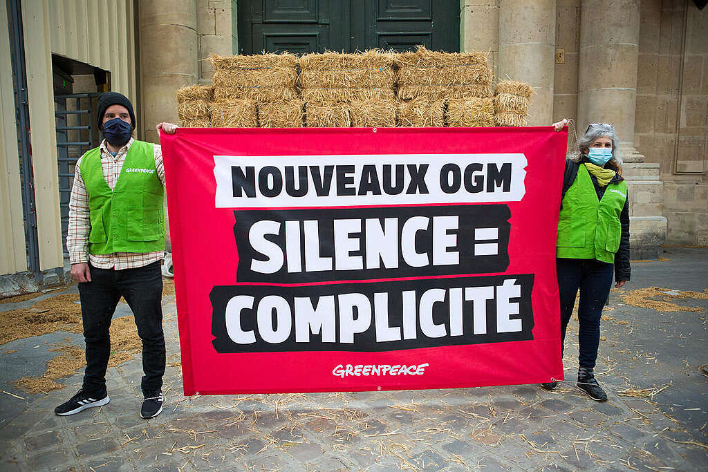 Action in Paris to Question the Government about the New GMOs. © Jean Nicholas Guillo / Greenpeace