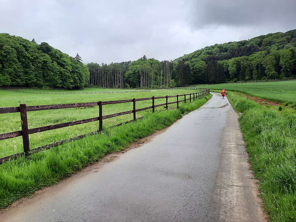 Photographie d'une piste cyclable à travers les champs qui s'enfonce dans une forêt au Luxembourg. Tout est très vert, le ciel est nuageux. On voit au loin un cycliste vêtu d'une combinaison orange.