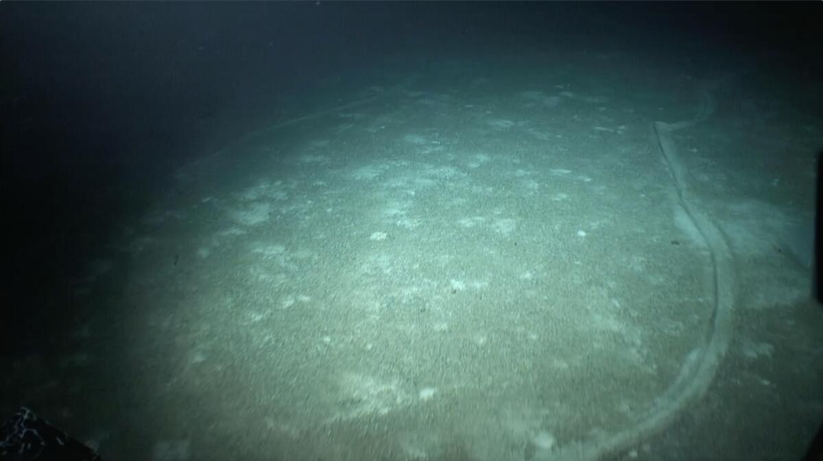 Trawl Damage on Emperor Seamount in the Pacific Ocean. © Amy Baco-Taylor / Florida State University Trawl Damage on Emperor Seamount in the Pacific Ocean. © Amy Baco-Taylor / Florida State University