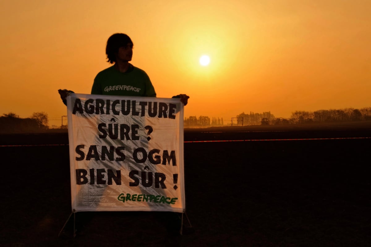 Nouveaux OGM : 49 organisations alertent sur la nécessité d’un étiquetage clair et obligatoire