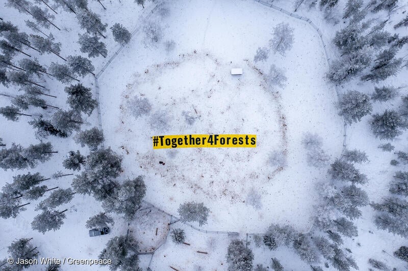 Greenpeace Luxembourg et natur&ëmwelt a.s.b.l. appellent le gouvernement à tenir son engagement et à soutenir la mise en œuvre du règlement européen sur la déforestation (EUDR).