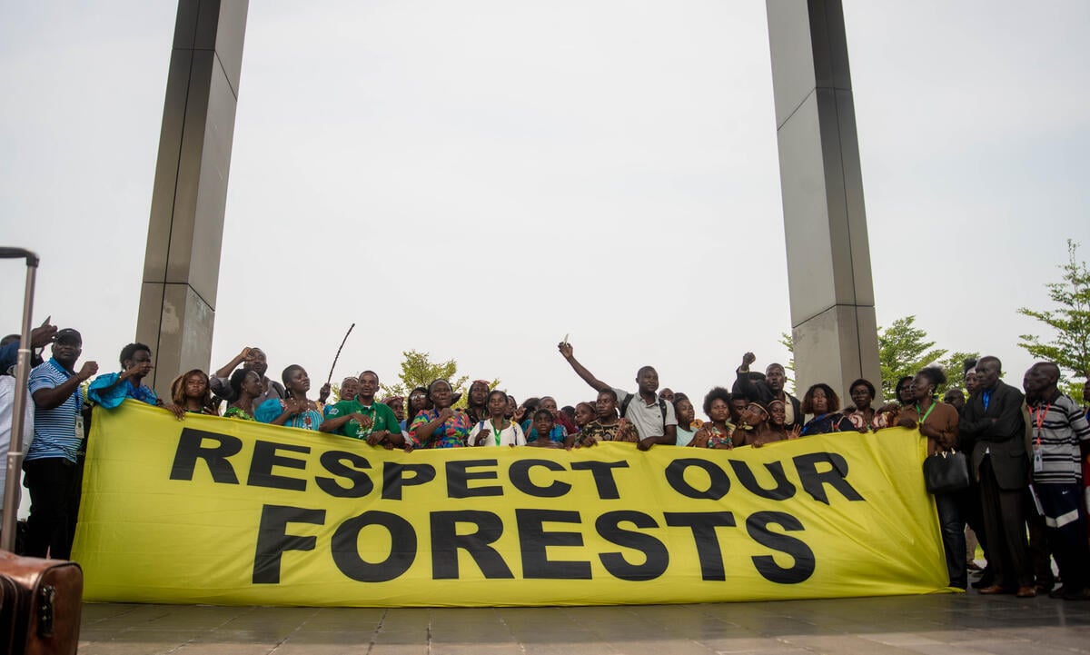 En mettant en œuvre le règlement européen sur la déforestation (EUDR), le gouvernement luxembourgeois sous-estime l’urgence de la lutte contre la déforestation