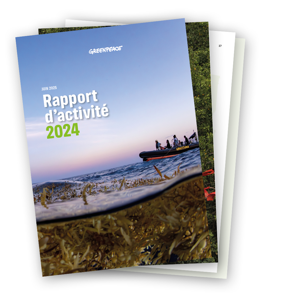 Rapport d’activité 2024