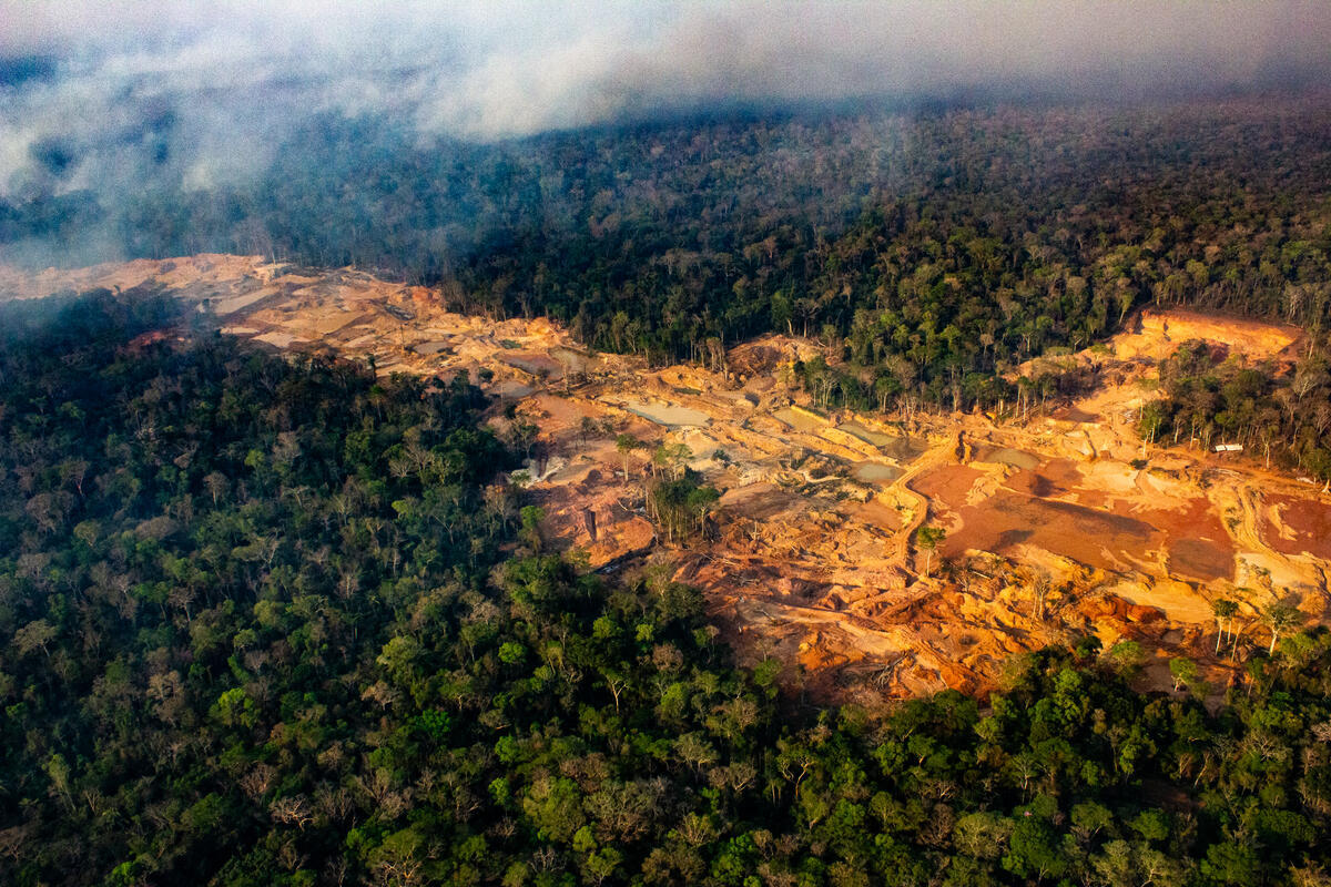 Pétition | Respectons l’Amazonie