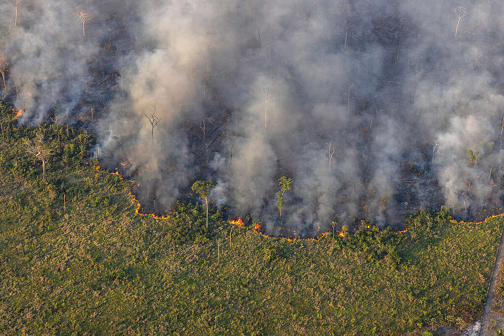 Aerial Monitoring of Fires and Deforestation in the Amazon. © Marizilda Cruppe / Greenpeace