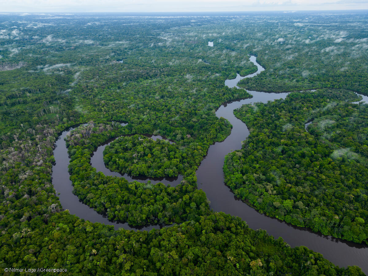 Le Luxembourg peut agir pour l’Amazonie
