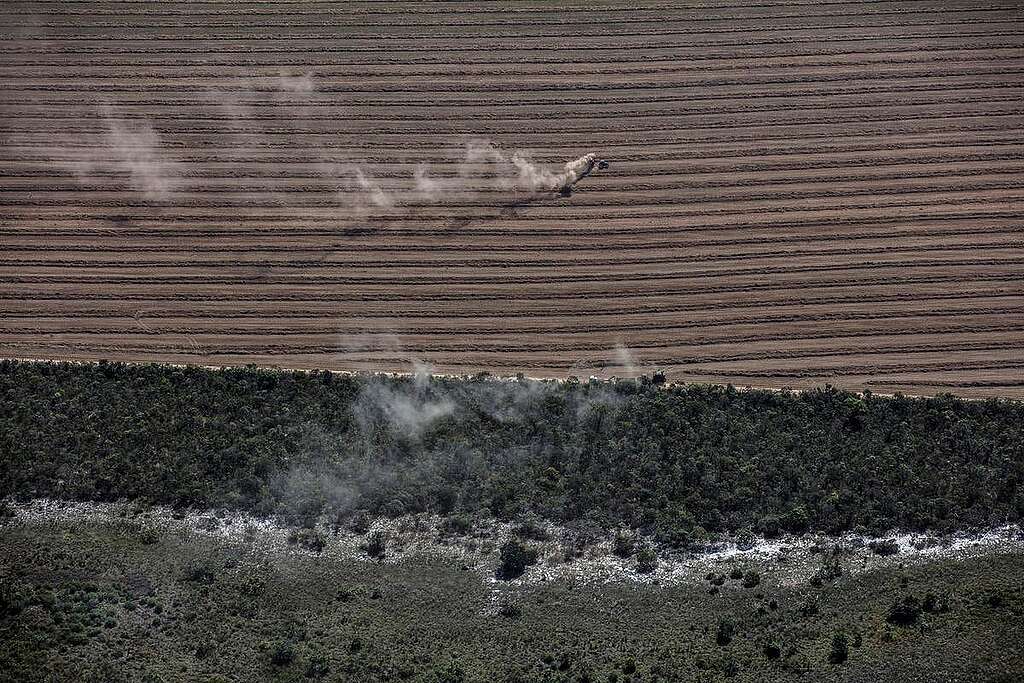 Agribusiness Rush in the MATOPIBA Region, in Brazil. © Marizilda Cruppe / Greenpeace
