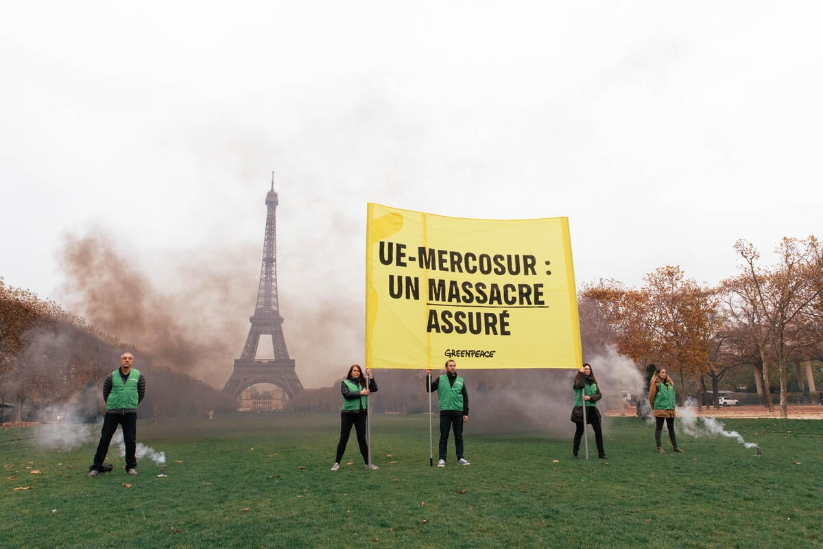 UE-Mercosur : Greenpeace appelle le Luxembourg à rejeter ce traité destructeur pour l’Amazonie, le climat et les peuples autochtones