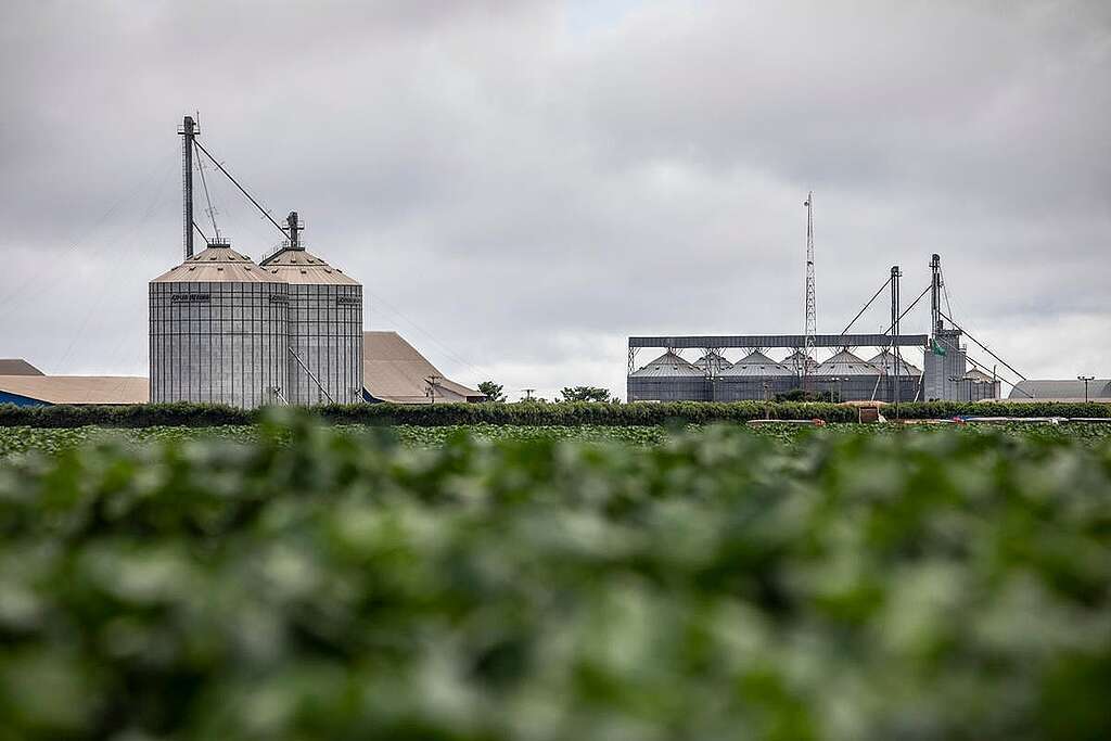 Silo in Bahia State, Brazil. © Victor Moriyama / Greenpeace