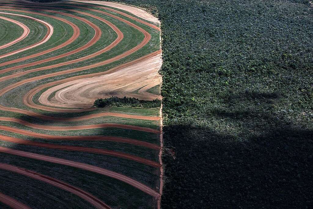Agribusiness Rush in the MATOPIBA Region, in Brazil. © Marizilda Cruppe / Greenpeace