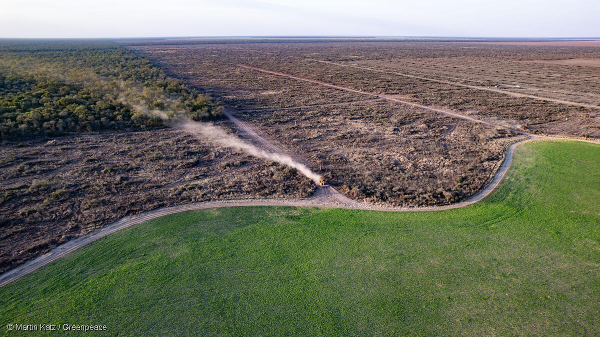 2026 : une année charnière pour le règlement européen contre la déforestation