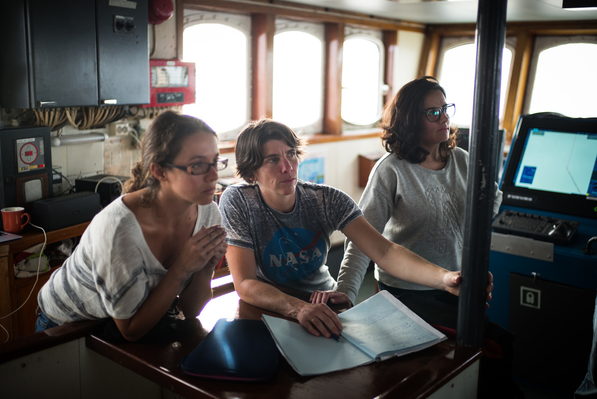 Greenpeace recrute un·e Chargé·e de gestion de projet & coordination Famille / Communication (CDD)