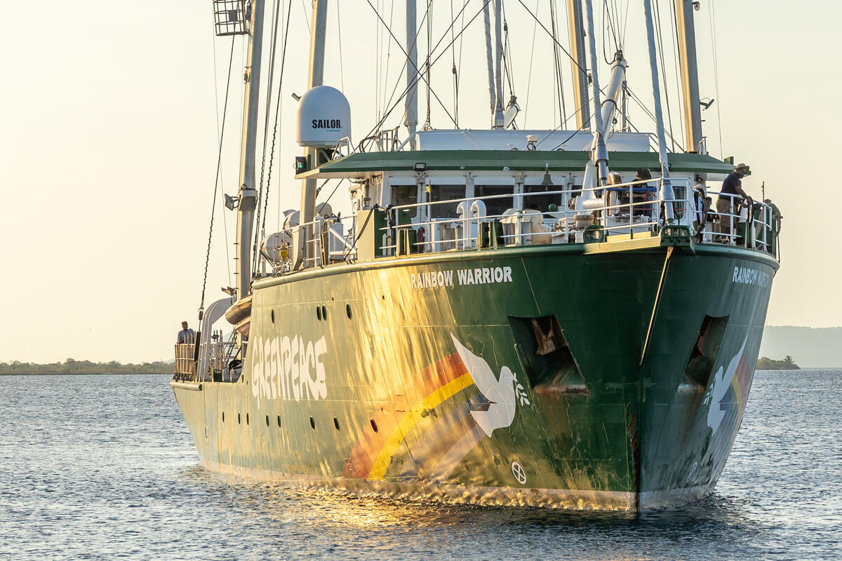Greenpeace rejoint la Flottille mondiale en direction de Gaza