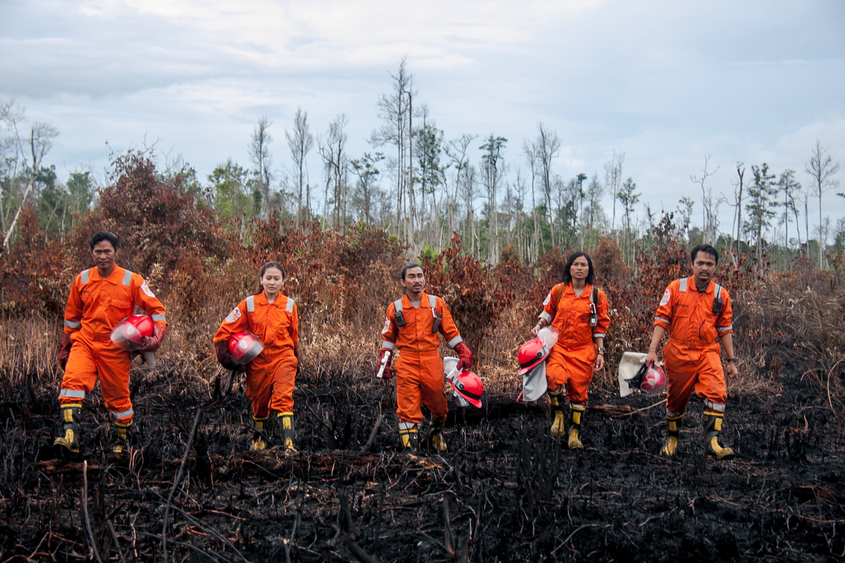 FFP Deployment 2017 Mopping Up Fire in West Kalimantan. © Fully Syafi / Greenpeace