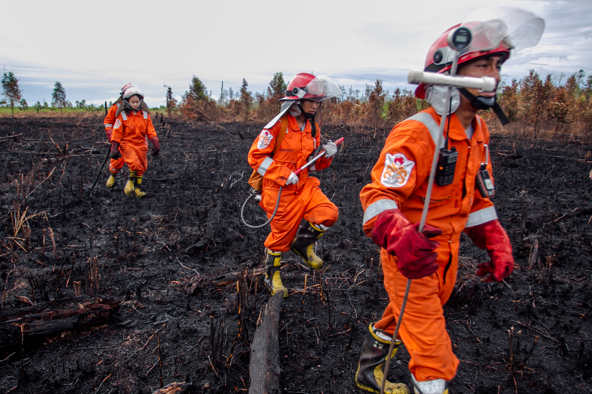 FFP Deployment 2017 Mopping Up Fire in West Kalimantan. © Fully Syafi / Greenpeace