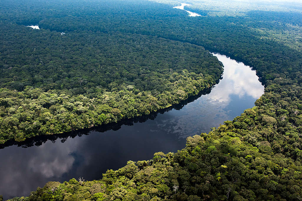 Monboyo River and Peatland Forest in DRC. © Daniel Beltrá / Greenpeace Monboyo River and Peatland Forest in DRC. © Daniel Beltrá / Greenpeace