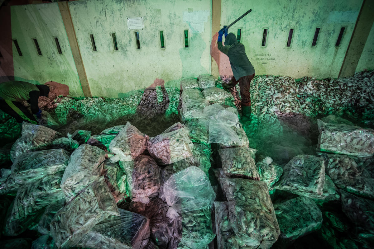 Migrant Fishermen in Indonesia. © Jurnasyanto Sukarno / Greenpeace