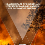 Burning Up: Health Impact of Indonesia’s Forest Fires and Implications for the Covid-19 Pandemic