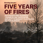 Burning Issues: Five Years of Fire