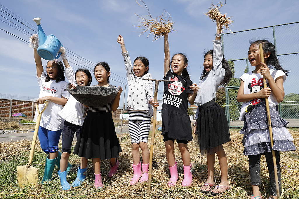 'We Grow' Project Preparation in Thailand. © Roengchai Kongmuang / Greenpeace 'We Grow' Project Preparation in Thailand. © Roengchai Kongmuang / Greenpeace