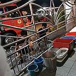 #UndiIklim | Kedah: A series of stories on six states