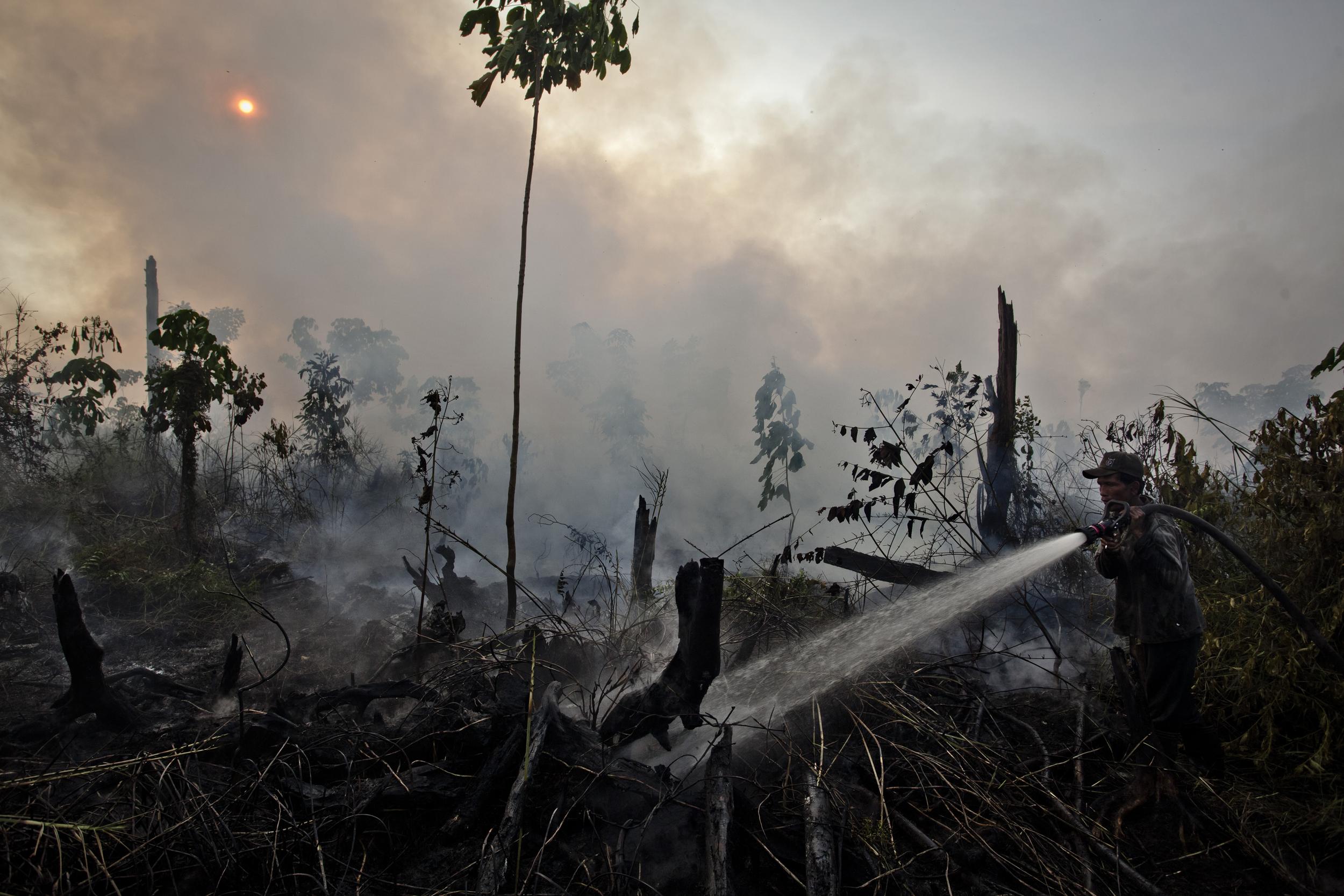 Fighting Forest Fires in Sumatra. © Ulet Ifansasti / Greenpeace Fighting Forest Fires in Sumatra. © Ulet Ifansasti / Greenpeace