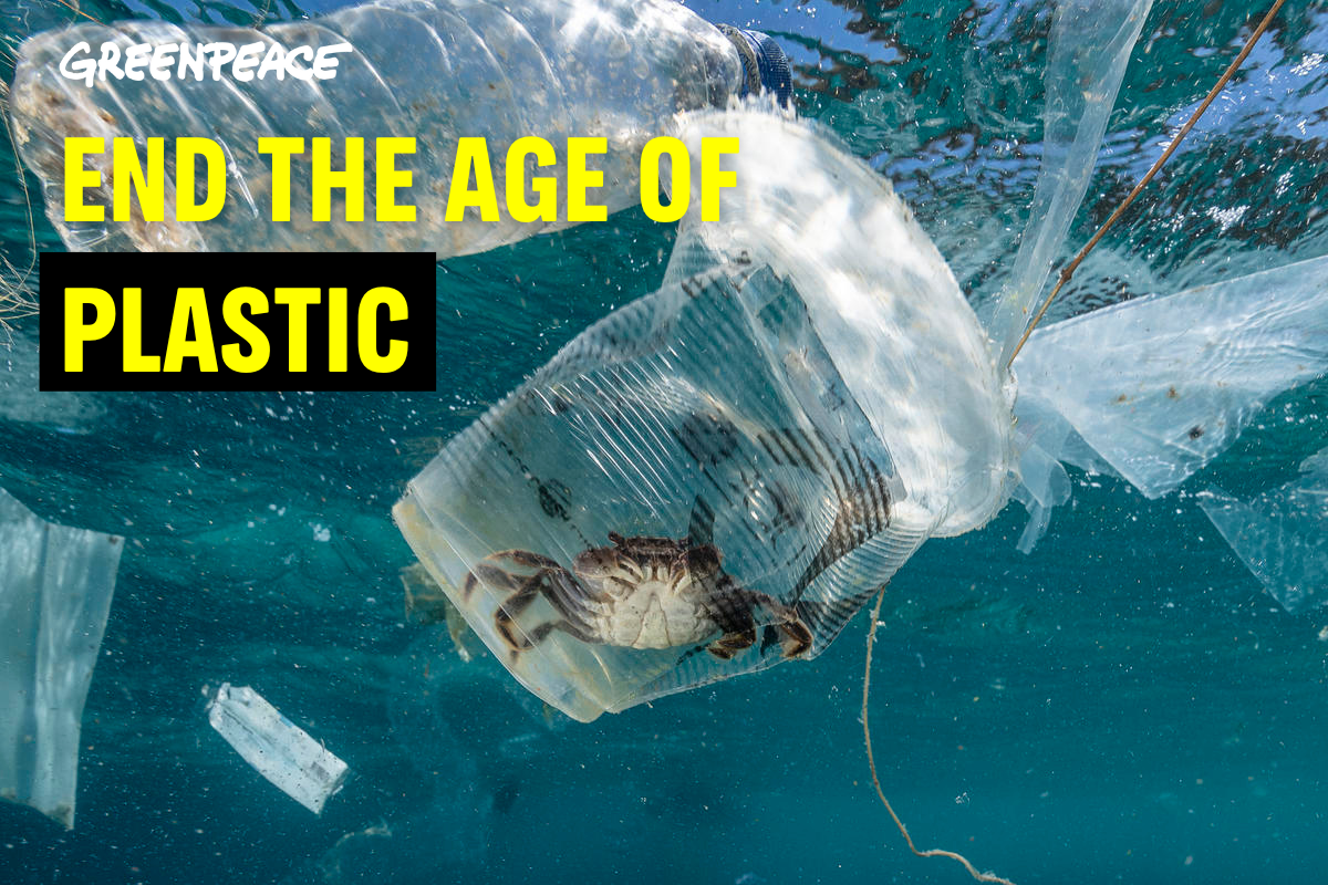 Join the Fight Against Plastic Pollution Greenpeace Malaysia