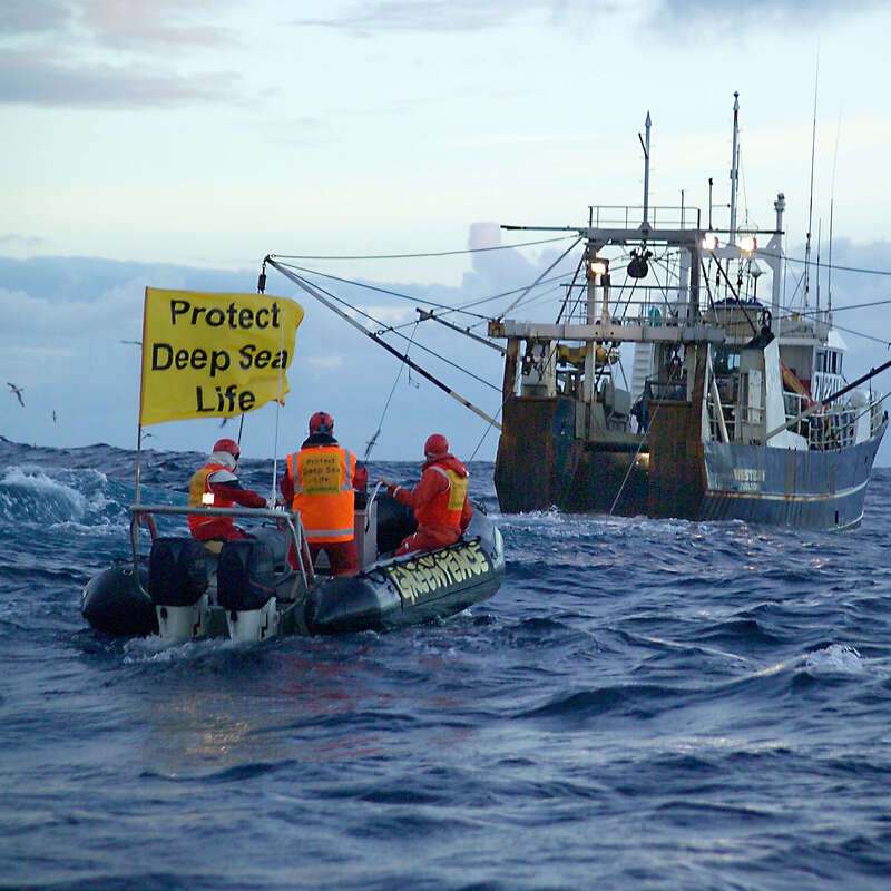 Monitoring Deep Sea Trawling, Tasman Sea. © Greenpeace / Malcolm Pullman Monitoring Deep Sea Trawling, Tasman Sea. © Greenpeace / Malcolm Pullman