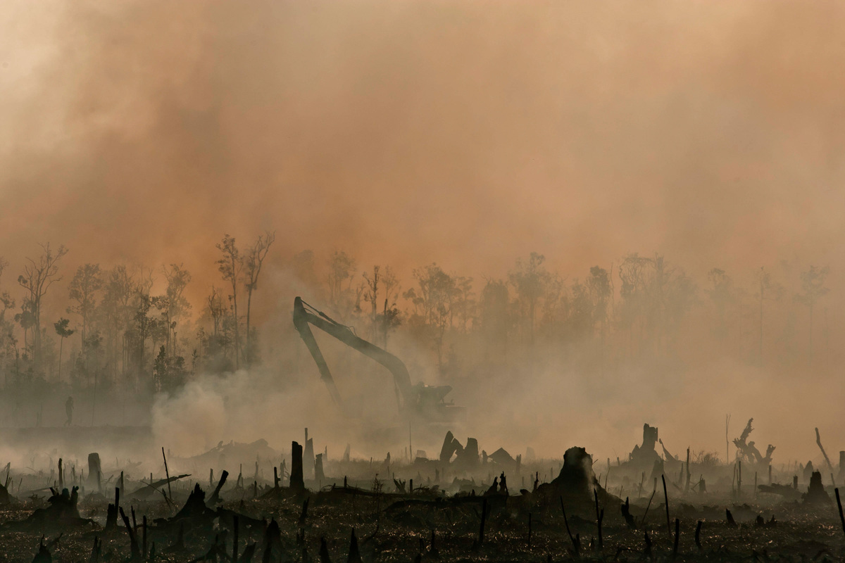 Forest Fires in Sumatra. © Ulet Ifansasti / Greenpeace Forest Fires in Sumatra. © Ulet Ifansasti / Greenpeace