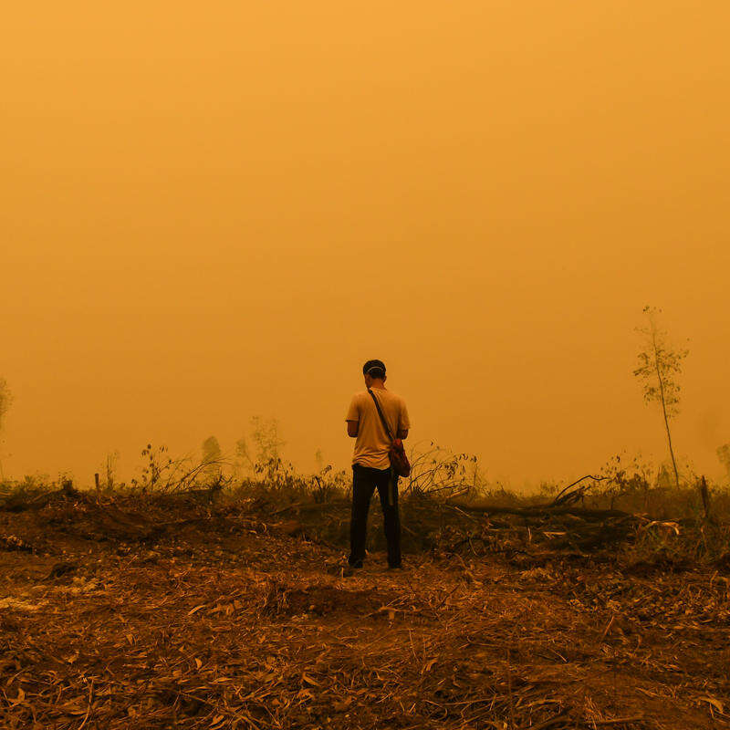 Haze in PT WKS Logging Concession in Jambi. © Muhammad Adimaja / Greenpeace Haze in PT WKS Logging Concession in Jambi. © Muhammad Adimaja / Greenpeace