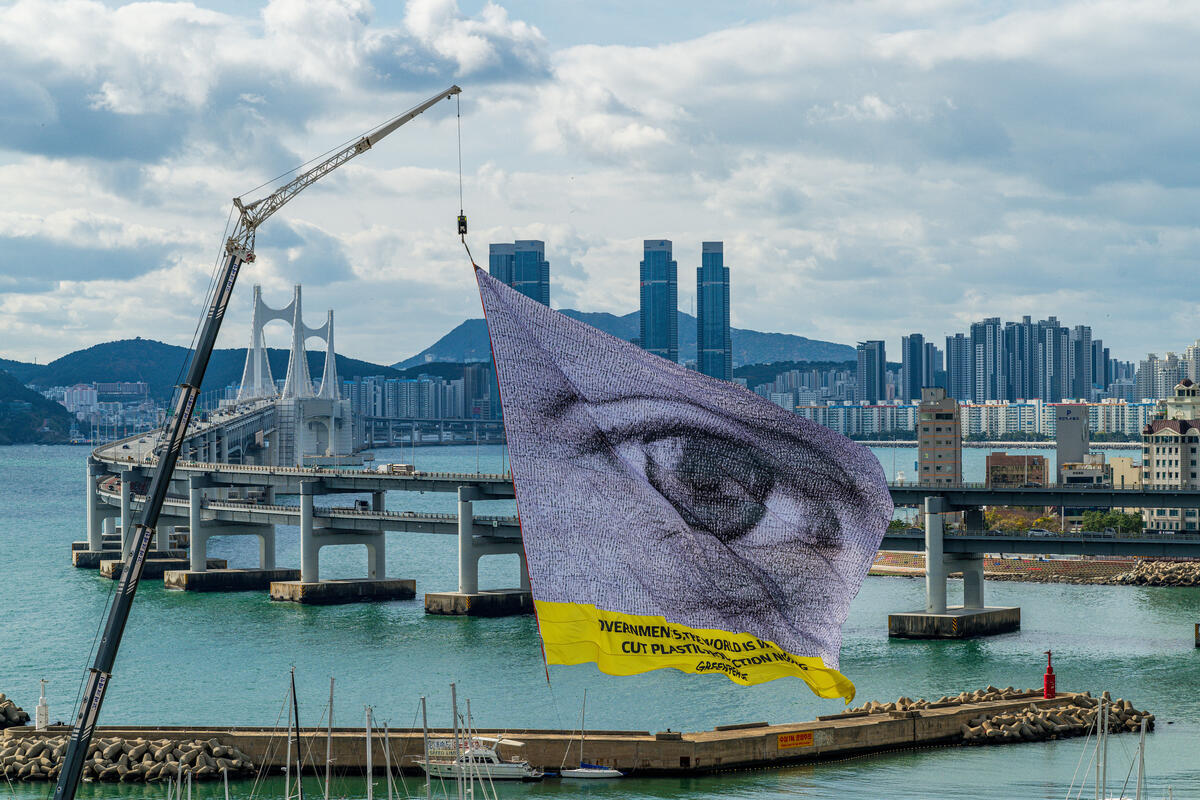 #WeAreWatching Flag at INC-5 in Busan, South Korea. © Greenpeace / Sungwoo Lee