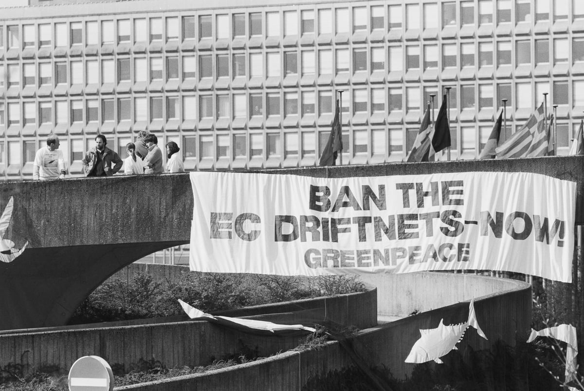 Driftnet Action at EC Fisheries Council. © Greenpeace / Stefan Von Stengel Driftnet Action at EC Fisheries Council. © Greenpeace / Stefan Von Stengel