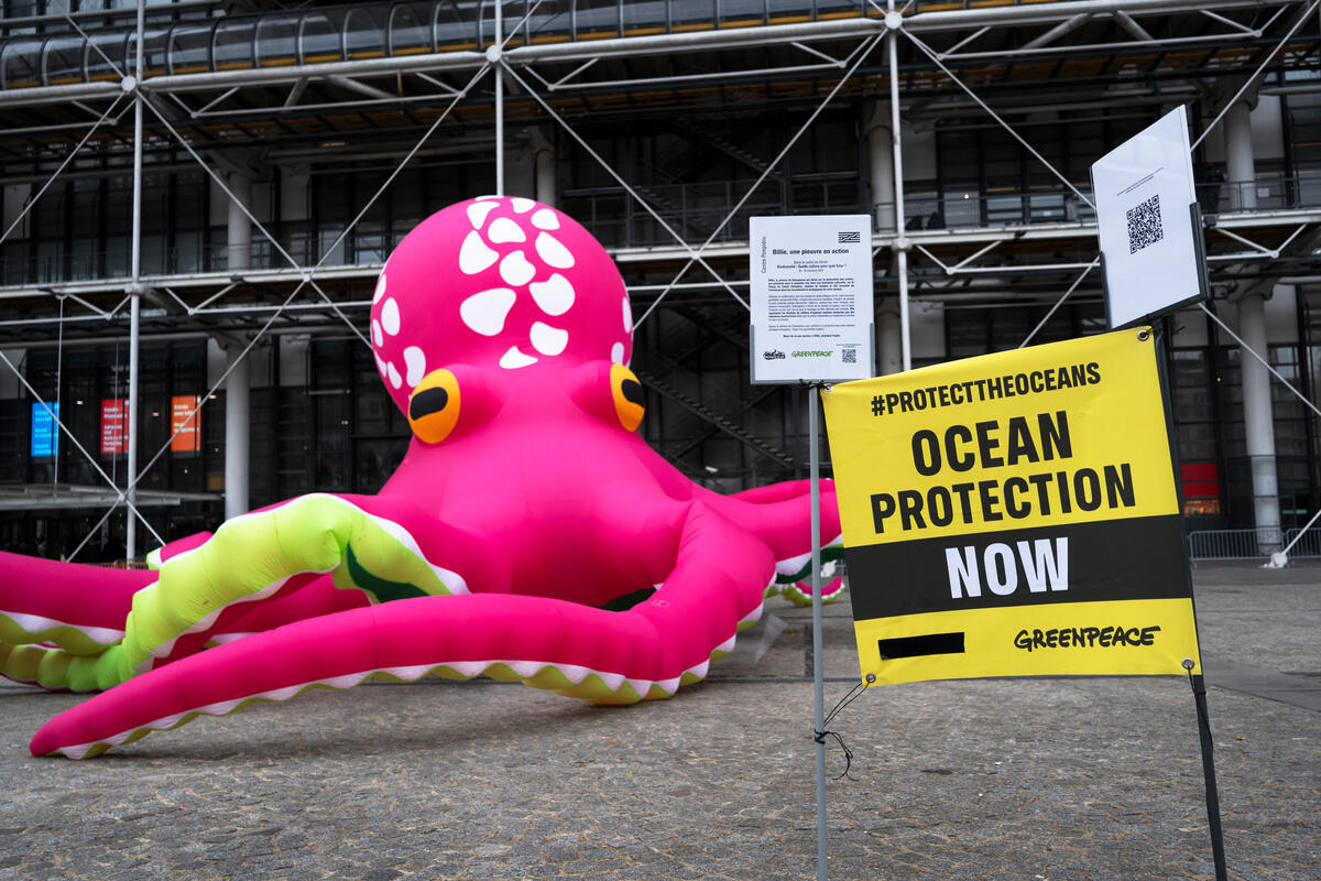 Billie the Octopus Protests at the Centre Pompidou in Paris, France. © Jérémie Jung / Greenpeace