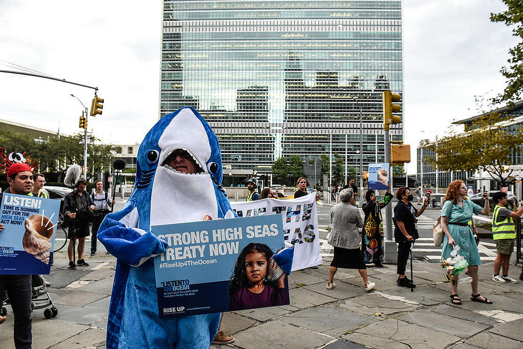 UN Oceans Negotiations IGC5 Rally in New York. © Stephanie Keith / Greenpeace