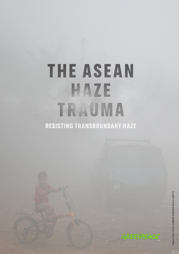 The ASEAN Haze Trauma