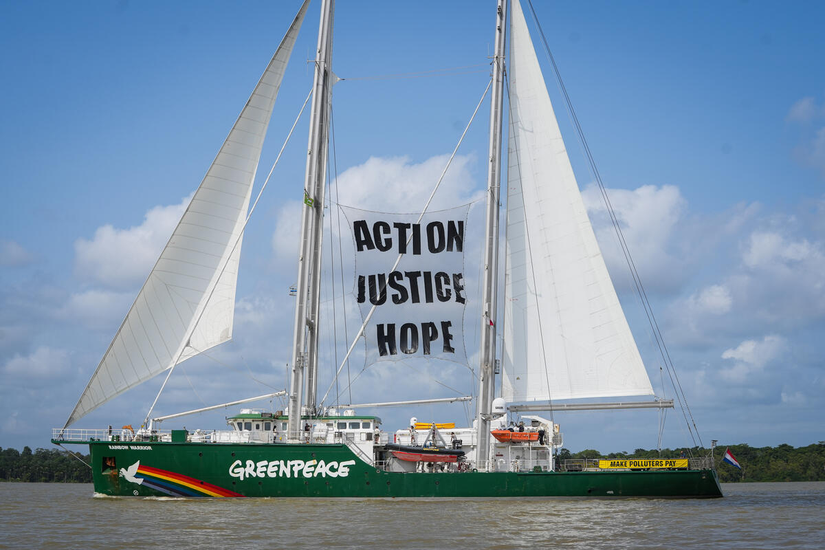 Greenpeace Ship Rainbow Warrior Arrives in Belém for COP30. © Filipe Bispo / Greenpeace