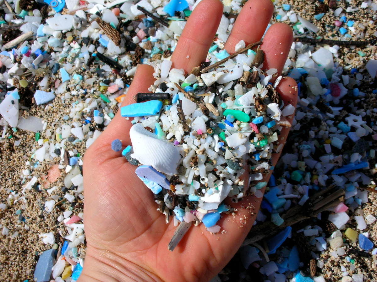 Microplastics on a Beach. © The 5 Gyres Institute