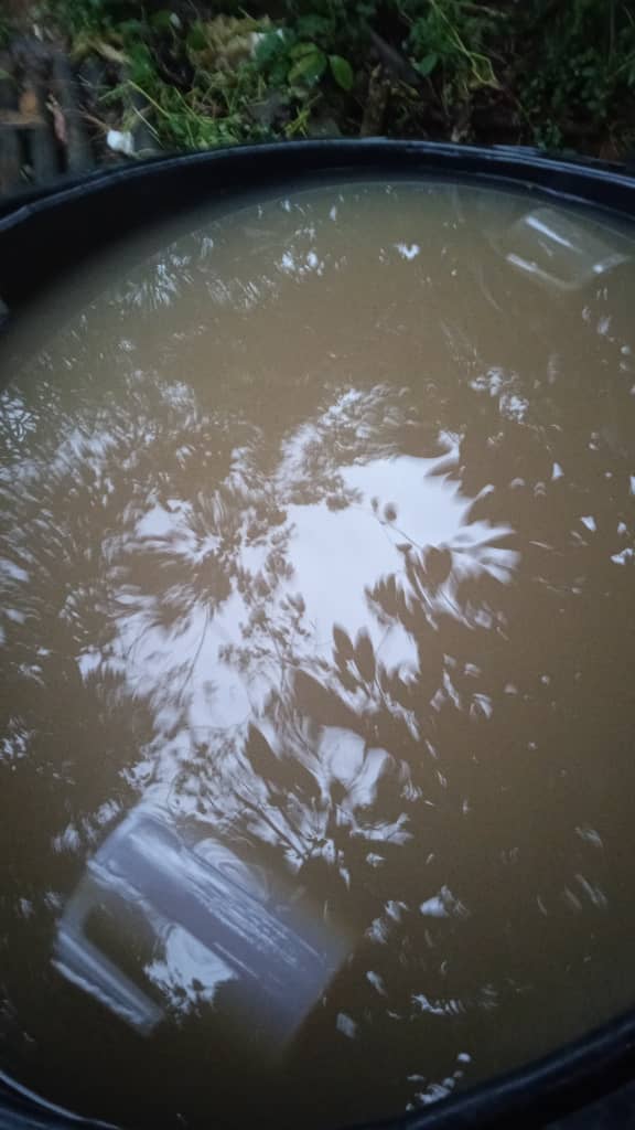 Water pollution crisis in Kampung Ayong, Pos Pasik, Gua Musang, Kelantan