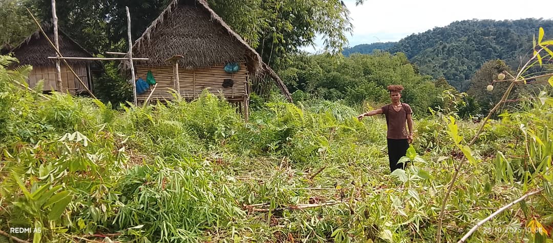 Elephant attacks: When forests are encroached, villages become victims