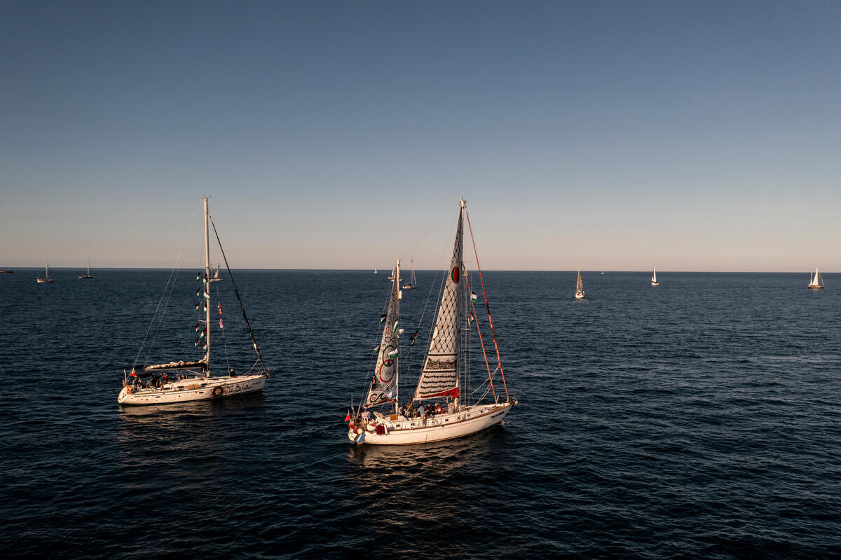 Why Greenpeace is sending a ship to help the Global Sumud Flotilla sail to Gaza