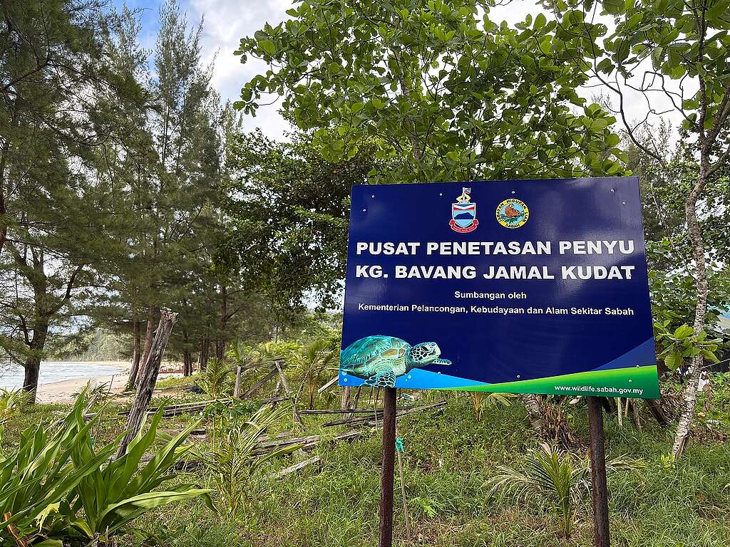 A turtle hatchery centre at Bavang Jamal Beach operated by Kudat Turtle Conservation Society.
